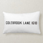 COLEBROOK LANE  Pillows (Lumbar)