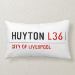 Huyton  Pillows (Lumbar)