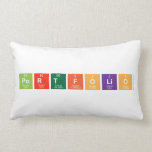 PORTFOLIO  Pillows (Lumbar)