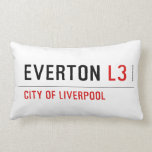 EVERTON  Pillows (Lumbar)