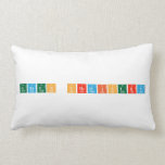 Green Chemistry  Pillows (Lumbar)