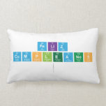 FELIZ 
 CUMPLEANOS
   Pillows (Lumbar)