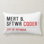MERT B. SFTWR  Pillows (Lumbar)