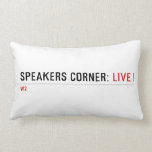 Speakers Corner:  Pillows (Lumbar)