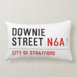 Downie Street  Pillows (Lumbar)