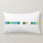 Welcome to UAB  Pillows (Lumbar)