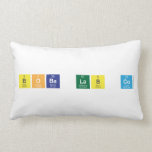 Boba Lab co  Pillows (Lumbar)