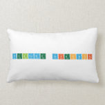 Welcome Scientists  Pillows (Lumbar)