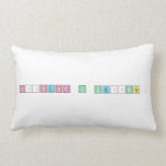Néstor y Verónica   Pillows (Lumbar)