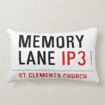 mEMORY LANE  Pillows (Lumbar)