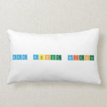 Mad about science  Pillows (Lumbar)