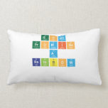 gods 
 promise
 a 
 rainbow
 
   Pillows (Lumbar)