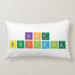 List
 Building  Pillows (Lumbar)