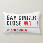 GAY GINGER CLOSE  Pillows (Lumbar)
