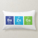 BaZnGa  Pillows (Lumbar)