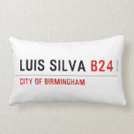 Luis Silva  Pillows (Lumbar)