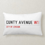 Cunty Avenue  Pillows (Lumbar)