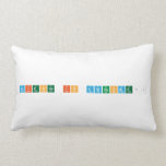 Science is Awesome!!  Pillows (Lumbar)