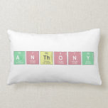 Anthony  Pillows (Lumbar)