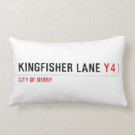 Kingfisher Lane  Pillows (Lumbar)