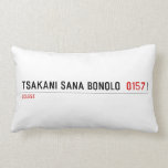 Tsakani Sana Bonolo   Pillows (Lumbar)