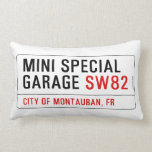MINI SPECIAL GARAGE  Pillows (Lumbar)