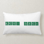 Mrs. Takah  Pillows (Lumbar)