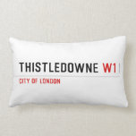 Thistledowne  Pillows (Lumbar)