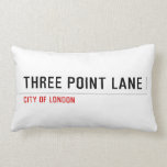 THREE POINT LANE  Pillows (Lumbar)