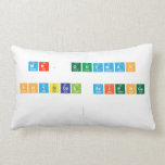 Mr. Guzman
 
 Physical Science 
 
   Pillows (Lumbar)