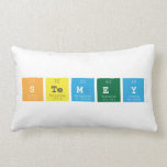 STEMEY  Pillows (Lumbar)