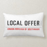 Local offer  Pillows (Lumbar)