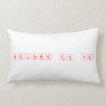 Welcome to 9E  Pillows (Lumbar)