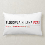 Floodplain lane  Pillows (Lumbar)
