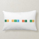 To Sum It Up  Pillows (Lumbar)