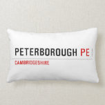 Peterborough  Pillows (Lumbar)
