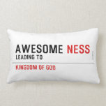 awesome  Pillows (Lumbar)