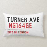 turner ave   Pillows (Lumbar)