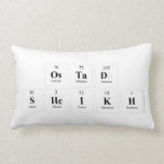 Ostad
 Sheikh  Pillows (Lumbar)