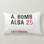 A. BOMB ALBA  Pillows (Lumbar)