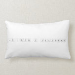 Química y Sociedad  Pillows (Lumbar)