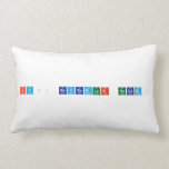 Iyı bayramlar hocam.   Pillows (Lumbar)