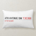 4th Avenue SW  Pillows (Lumbar)