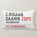 C.risaaq daahir  Pillows (Lumbar)