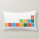 I
 love
 chemistry  Pillows (Lumbar)