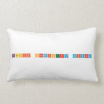 Kashif Chemistry Wizard  Pillows (Lumbar)