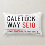 caletock  way  Pillows (Lumbar)