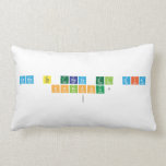 COMO TE TRATA EL DIA
 CHINCHU? 
   Pillows (Lumbar)