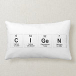 CiGen  Pillows (Lumbar)
