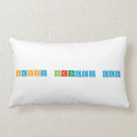 Happy Birthday Dad  Pillows (Lumbar)